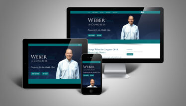 Web Design - Political Campaign